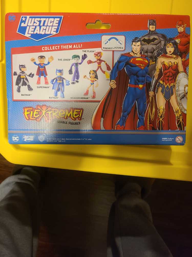 Mattel DC Comics Justice League FlexTreme Series Bendable Batman And Wonder Woman  action figure collectible [Barcode 887961873900] - Main Image 2