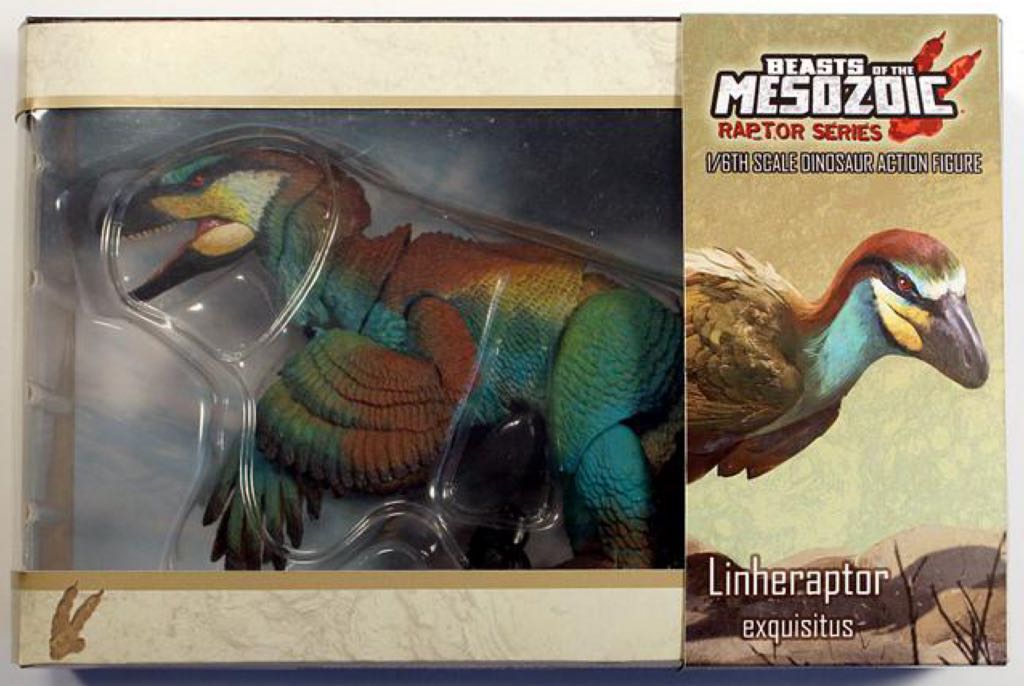 Legami Flower Bloom 21 X 17 X 13 Cm