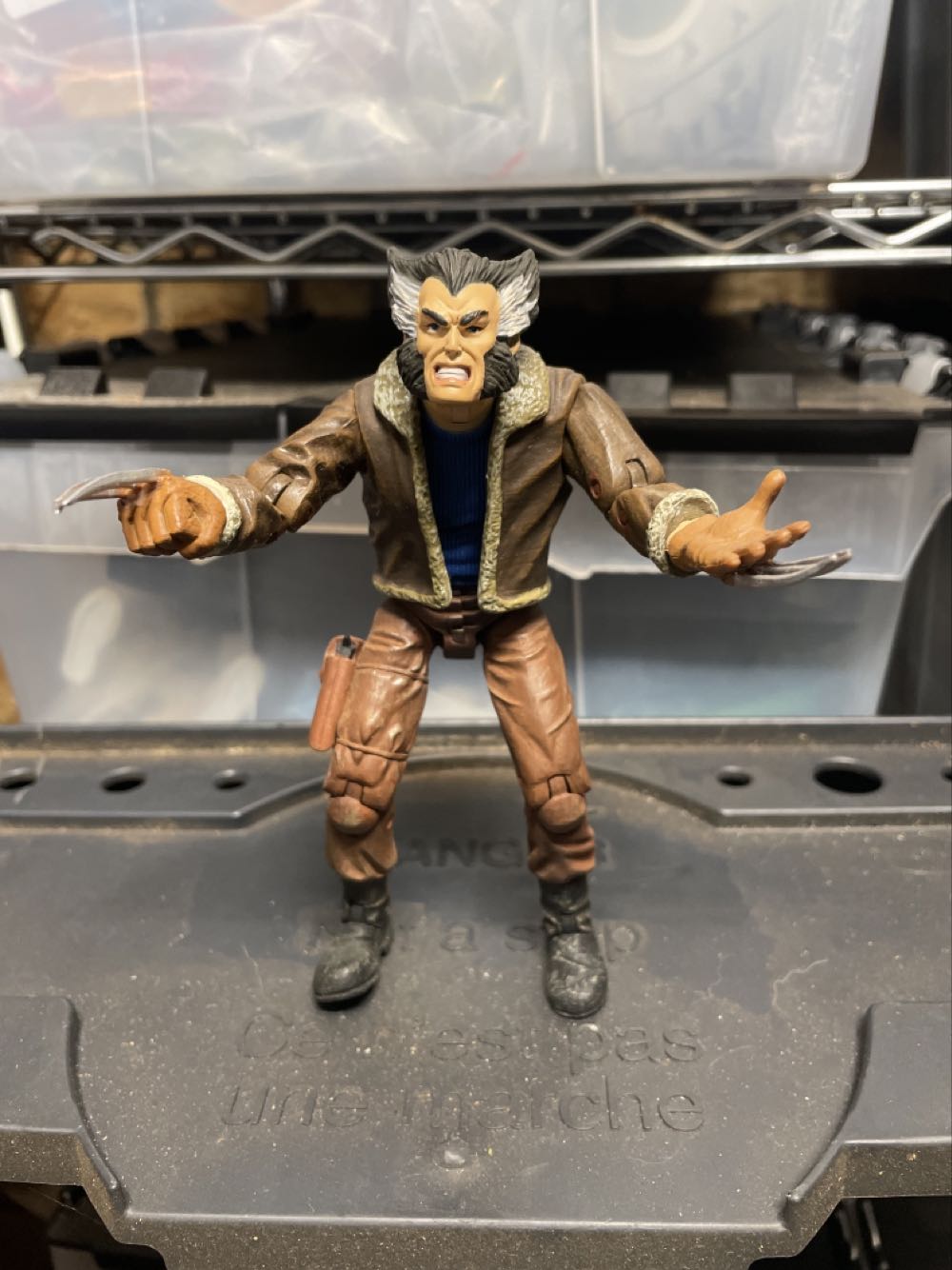 Bic Kids Tropicolors 2 Colouring Pencils 12 Pack