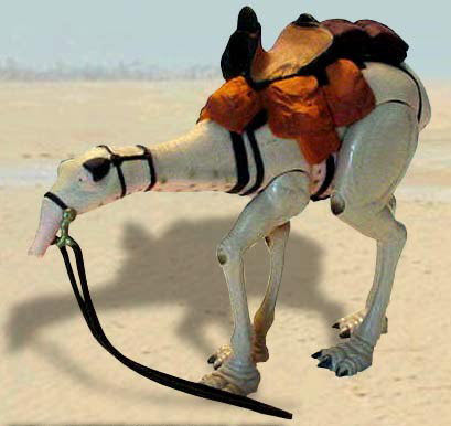 Qui-Gon Jinn & Eopie - Hasbro (The Phantom Menace) action figure collectible [Barcode 076930843543] - Main Image 3