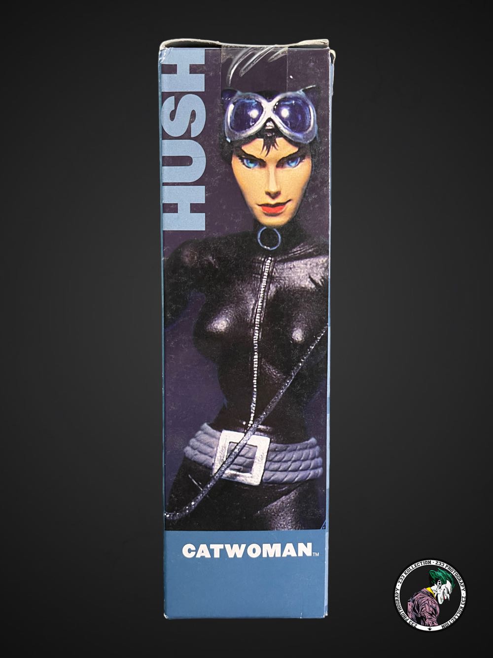 DC Direct (2004) (089x02) Catwoman - DC Direct (Batman: Hush Series 2) action figure collectible - Main Image 4