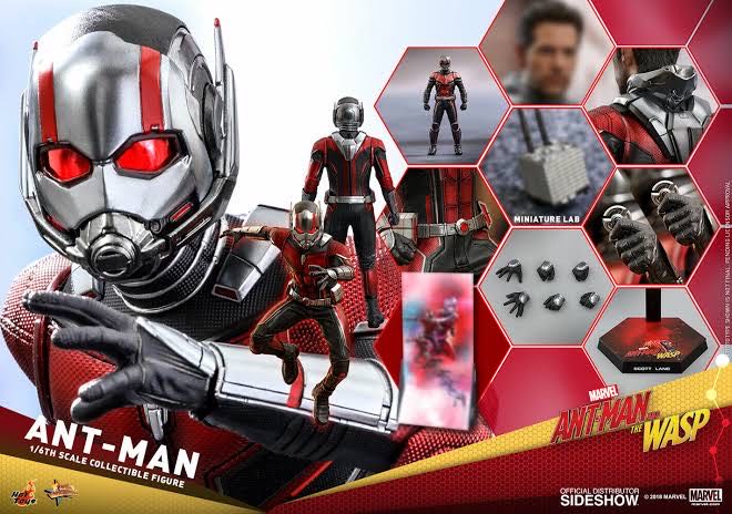 Ant-Man - Hot Toys (Marvel’s Ant Man and the Wasp) action figure collectible [Barcode 4897011186955] - Main Image 4