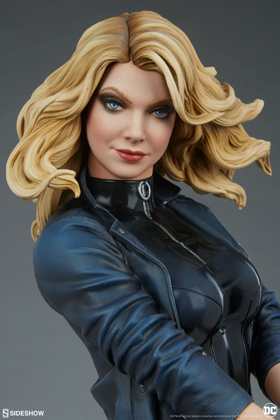 Sideshow Black Canary Premium Format Figure - Sideshow Collectibles Premium Format action figure collectible [Barcode 747720244085] - Main Image 2
