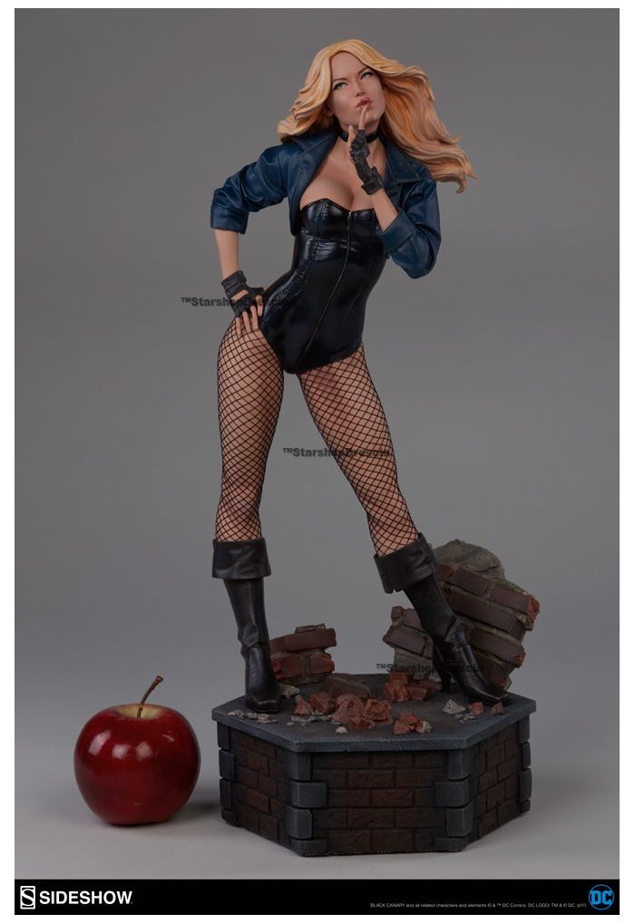 Dc Sideshow Comics Black Canary Premium Format Figure Statue  action figure collectible [Barcode 747720227170] - Main Image 2