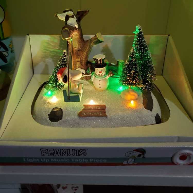 Snoopy Light Up Musical  action figure collectible [Barcode 765784694523] - Main Image 3