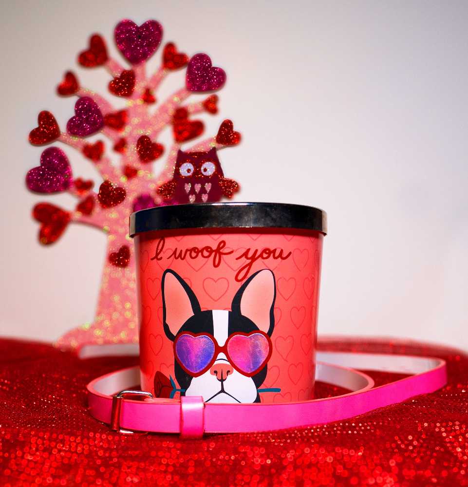 CANDLE: Valentine’s Day Kohl’s I Woof You 2020 - Kohl’s Candles (Valentine’s Day Candles) action figure collectible [Barcode 400553244546] - Main Image 3