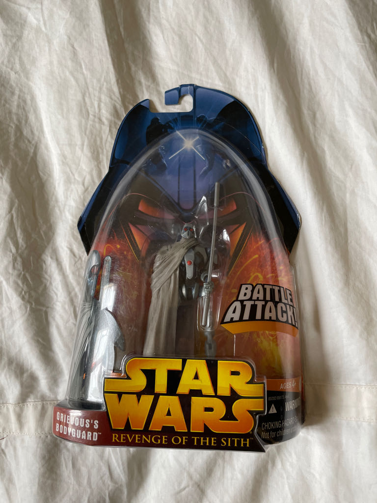 Velociraptor & Stegosaurus