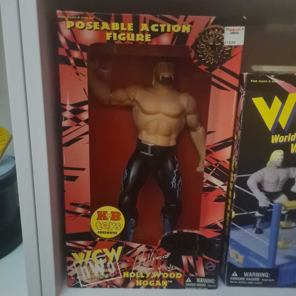 Upc Lookup For 0312000##### - The Original San Francisco Toymakers (WCW/NWO Poseable Action Figure) action figure collectible [Barcode 747005098785] - Main Image 3