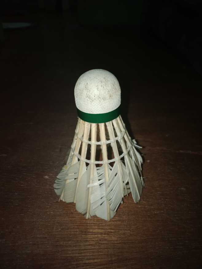 Shuttlecock   action figure collectible - Main Image 4