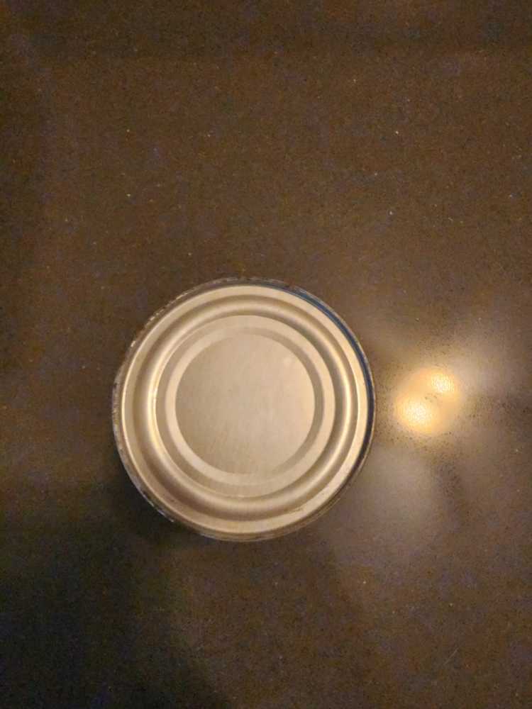 Ski Doo Chain Case Oil (141)  action figure collectible - Main Image 3