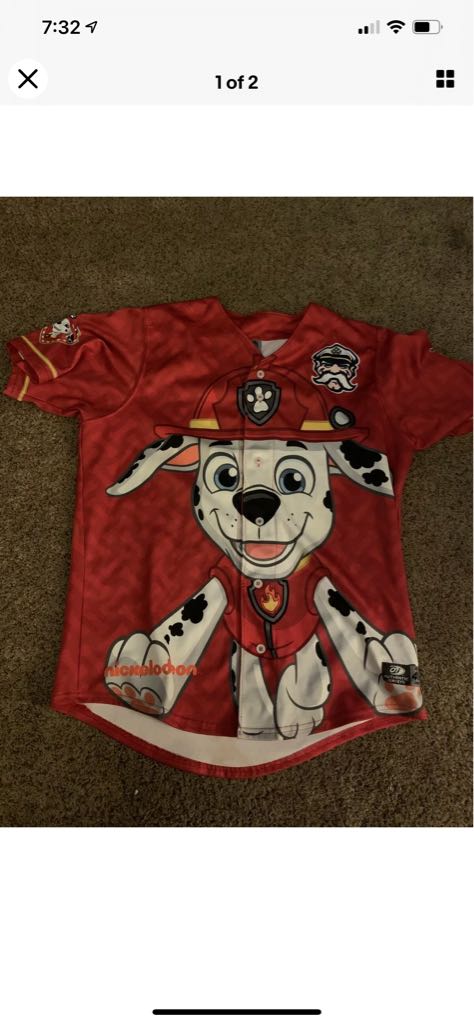 Lake County Captains - Paw Patrol Marshall  action figure collectible - Main Image 1