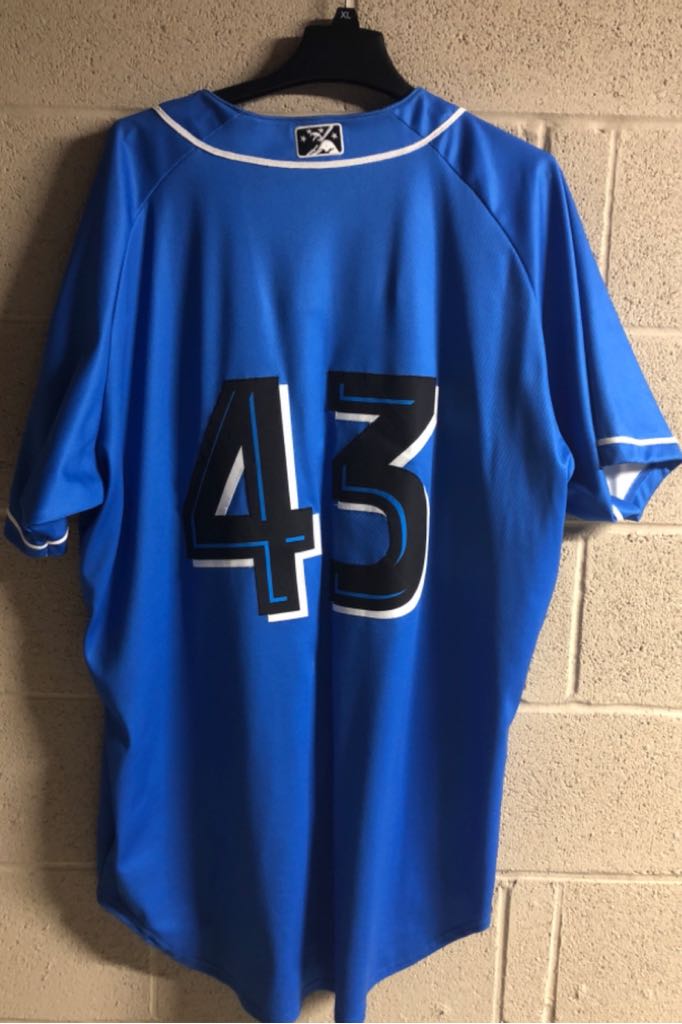 Blue  (Akron Aeros/Rubberducks) action figure collectible - Main Image 2