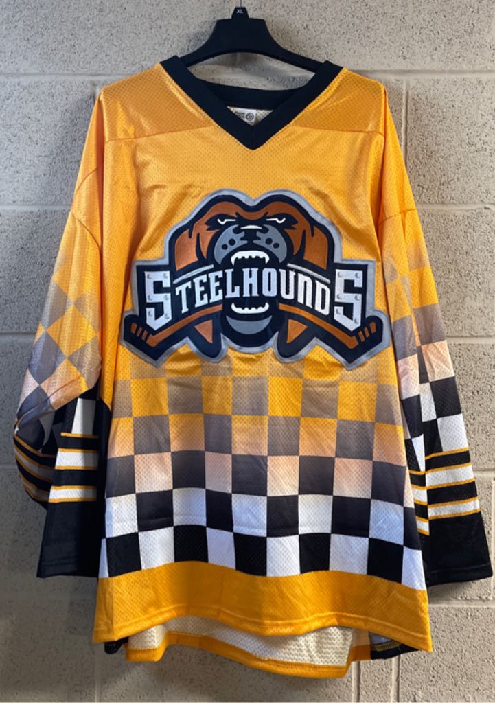 Spinosaurus & Tyrannosaurus