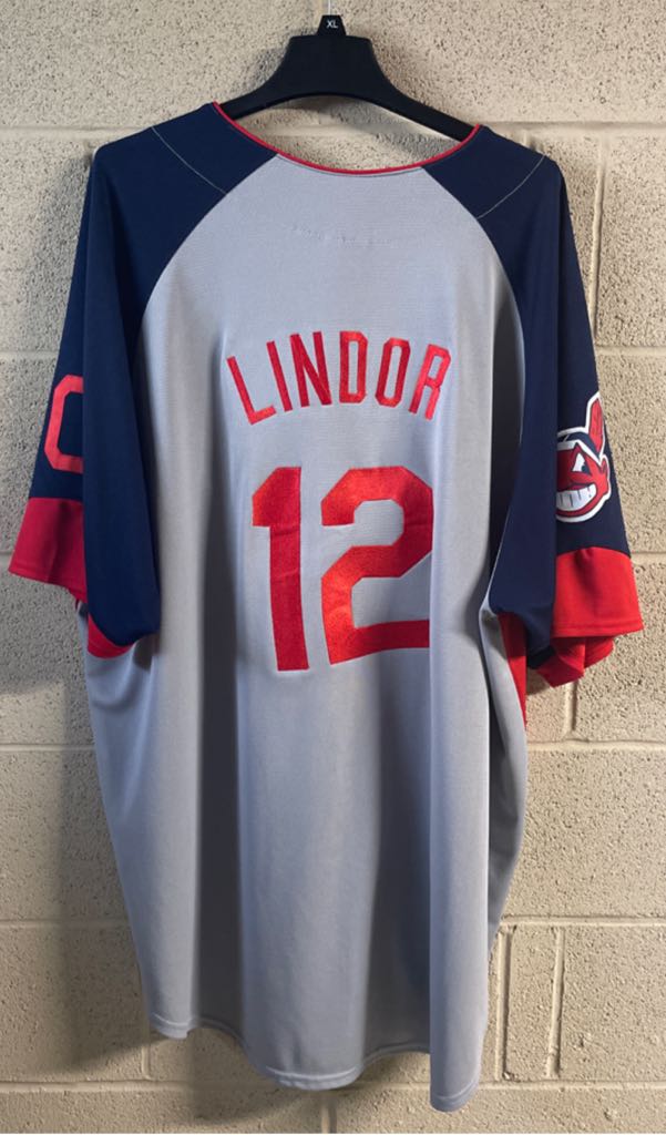 Indians - Lindor Gray  (Cleveland Indians) action figure collectible - Main Image 2