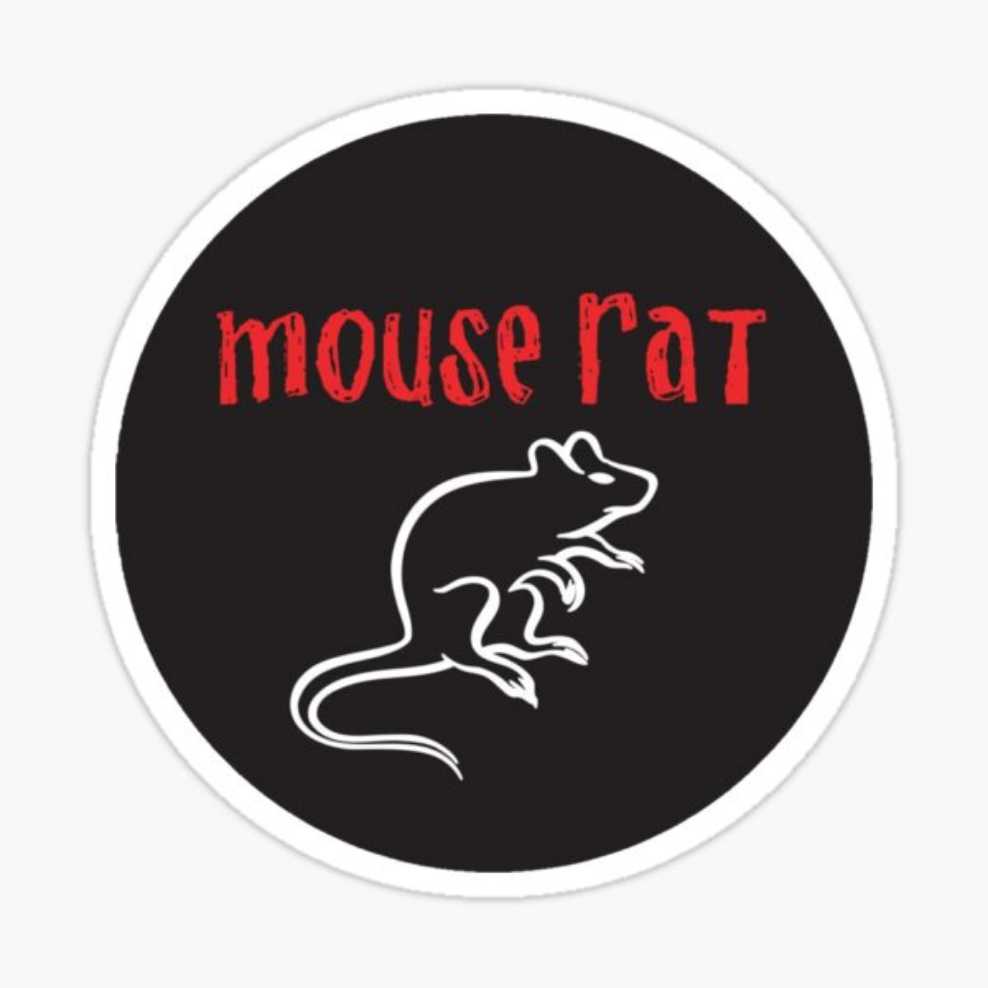 Andy Dwyer (Mouse Rat) - Super7 (Parks and Recreation) action figure collectible [Barcode 840049823761] - Main Image 3