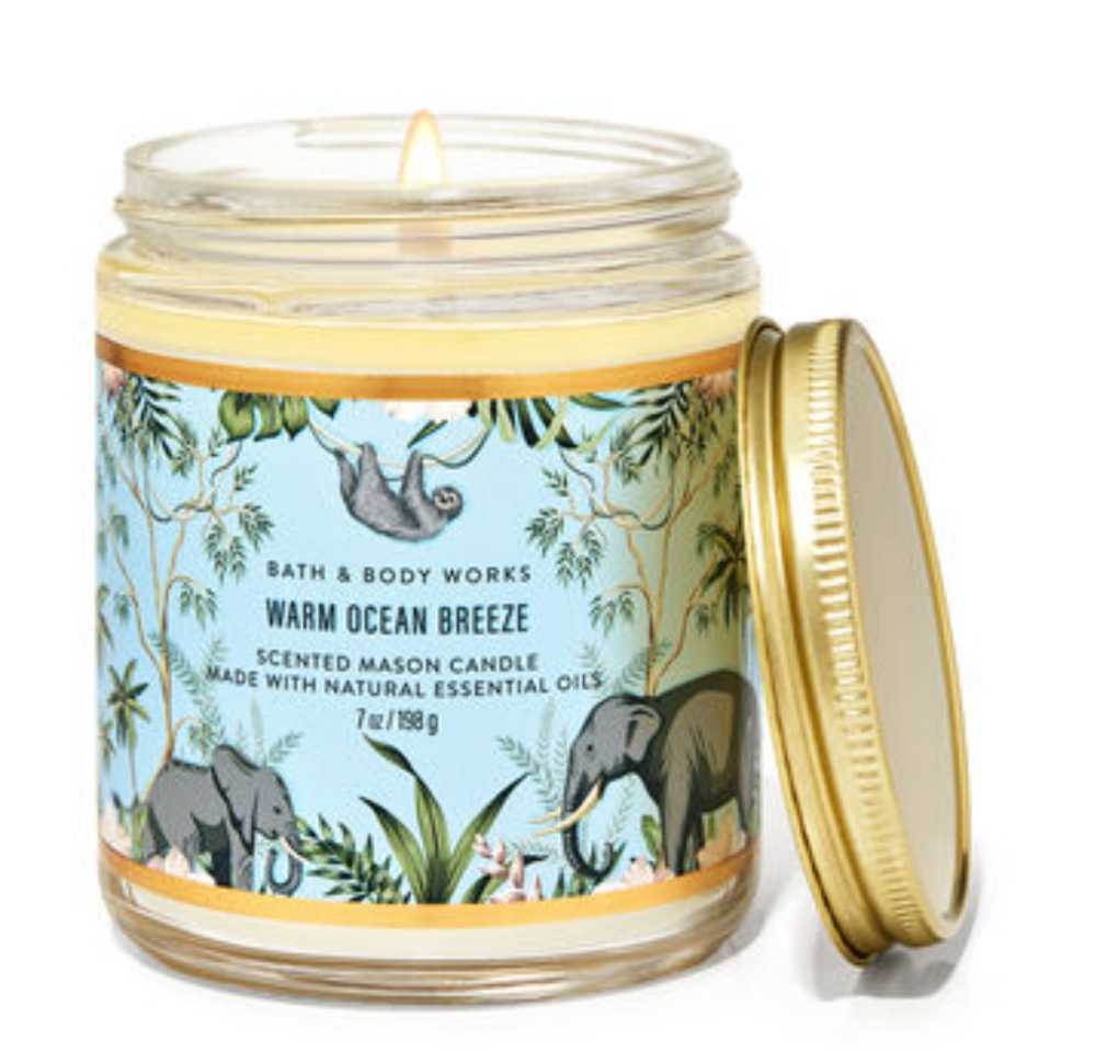 CANDLE: Desert Bath And Bodyworks Warm Ocean Breeze 2023 - Goose Creek Candle (International Candles) action figure collectible [Barcode 667558204351] - Main Image 3