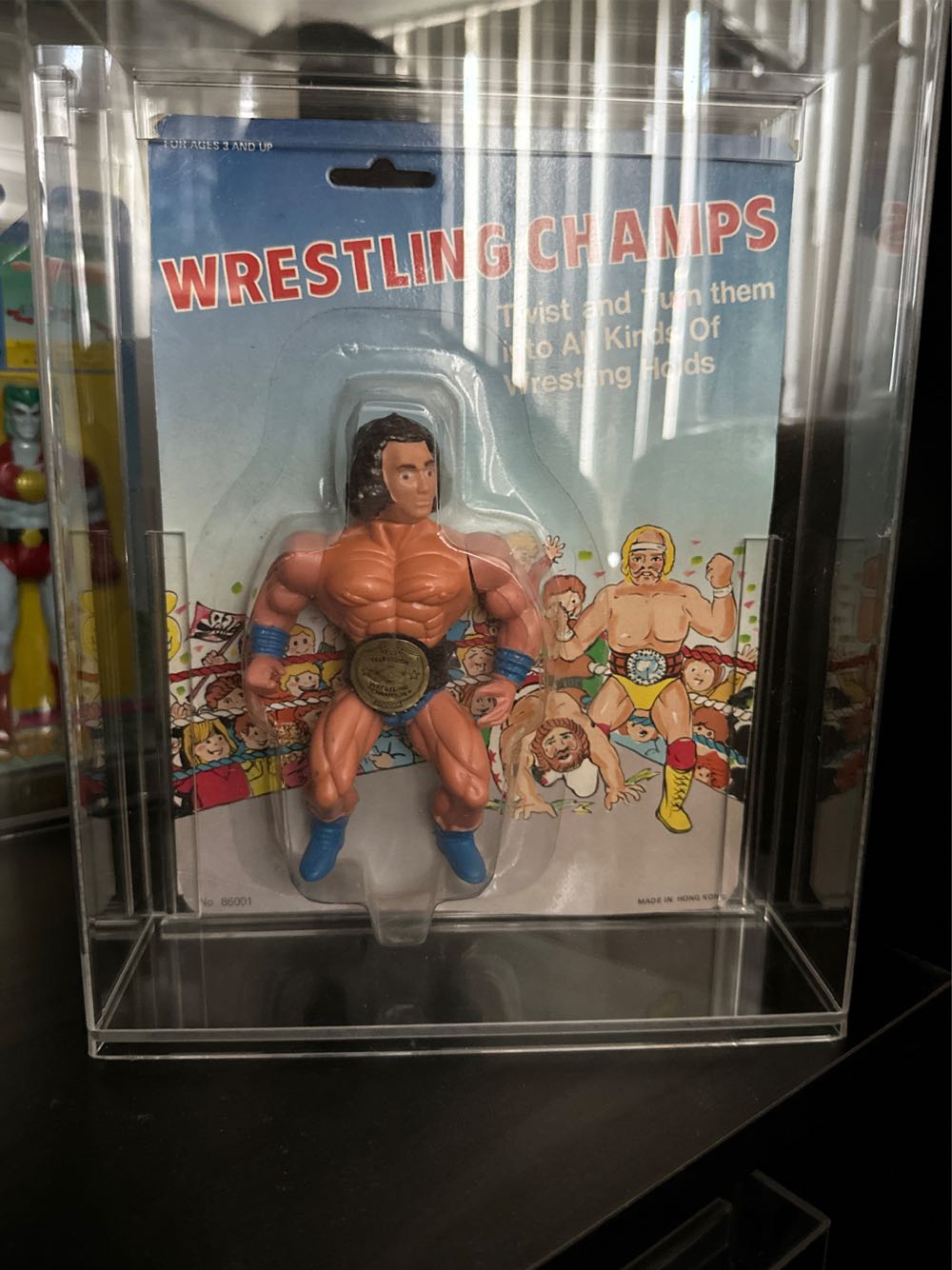 Princess Moana And Pua