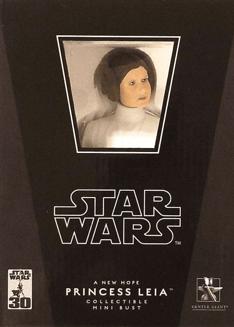 Princess Leia: A New Hope Collectible Bust - Gentle Giant Ltd. (Gentle Giant Mini-Busts (Limited to 6000)) action figure collectible - Main Image 4