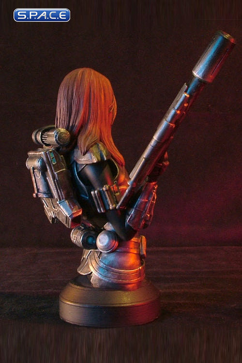 Shae Vizla: The Old Republic Collectible Bust - Gentle Giant Ltd. (Gentle Giant Mini-Busts (Limited to 2500)) action figure collectible - Main Image 3