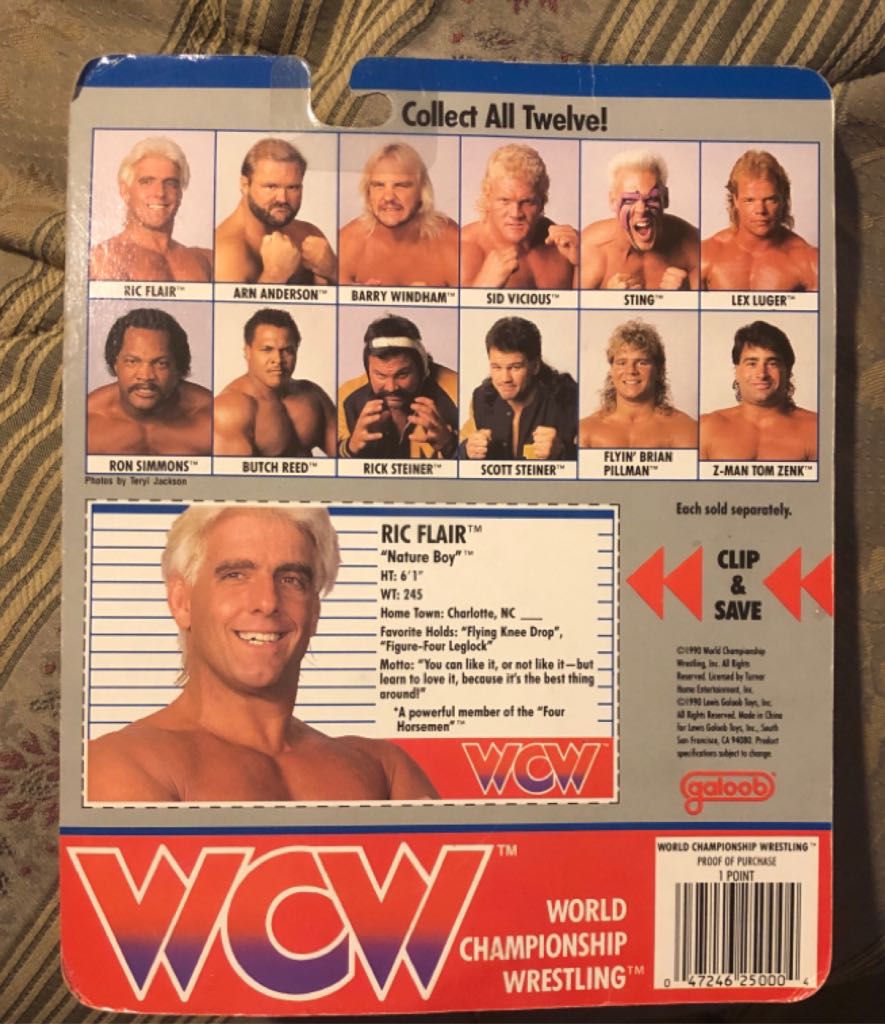 Ric Flair - Galoob (WCW Galoob (NWA Variant)) action figure collectible - Main Image 2