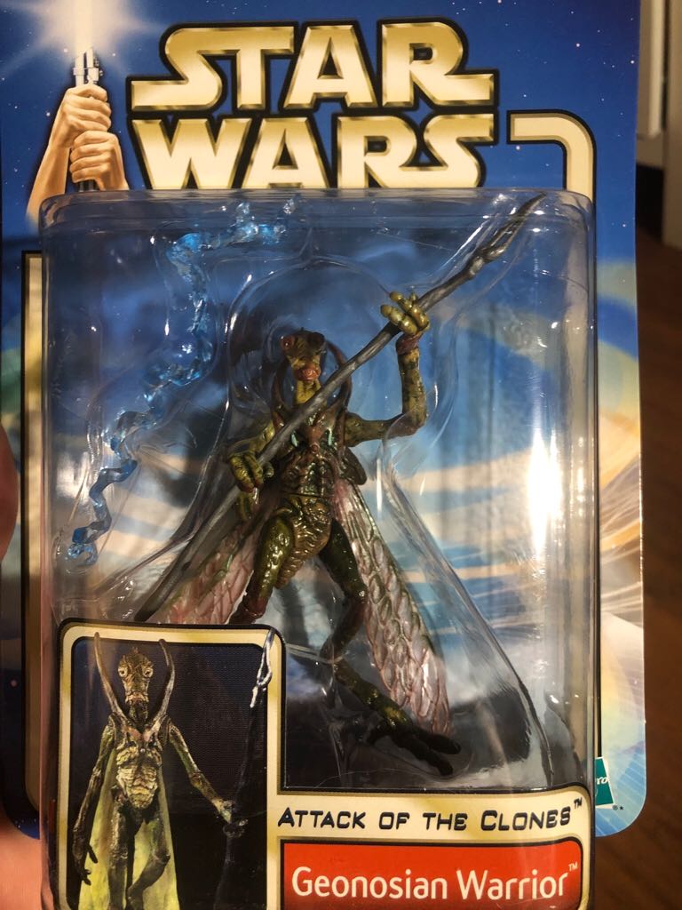 Nano Hollywood Rides