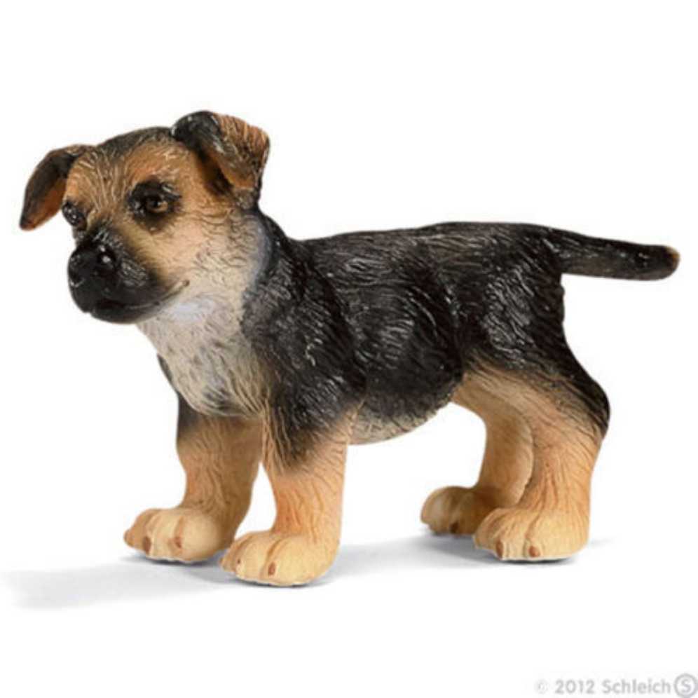 Image 223325