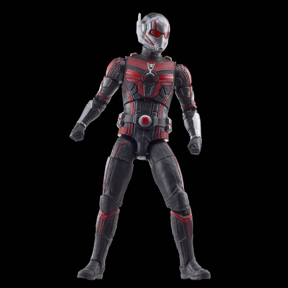 Ant-Man - Hasbro (Marvel Legends) action figure collectible - Main Image 4