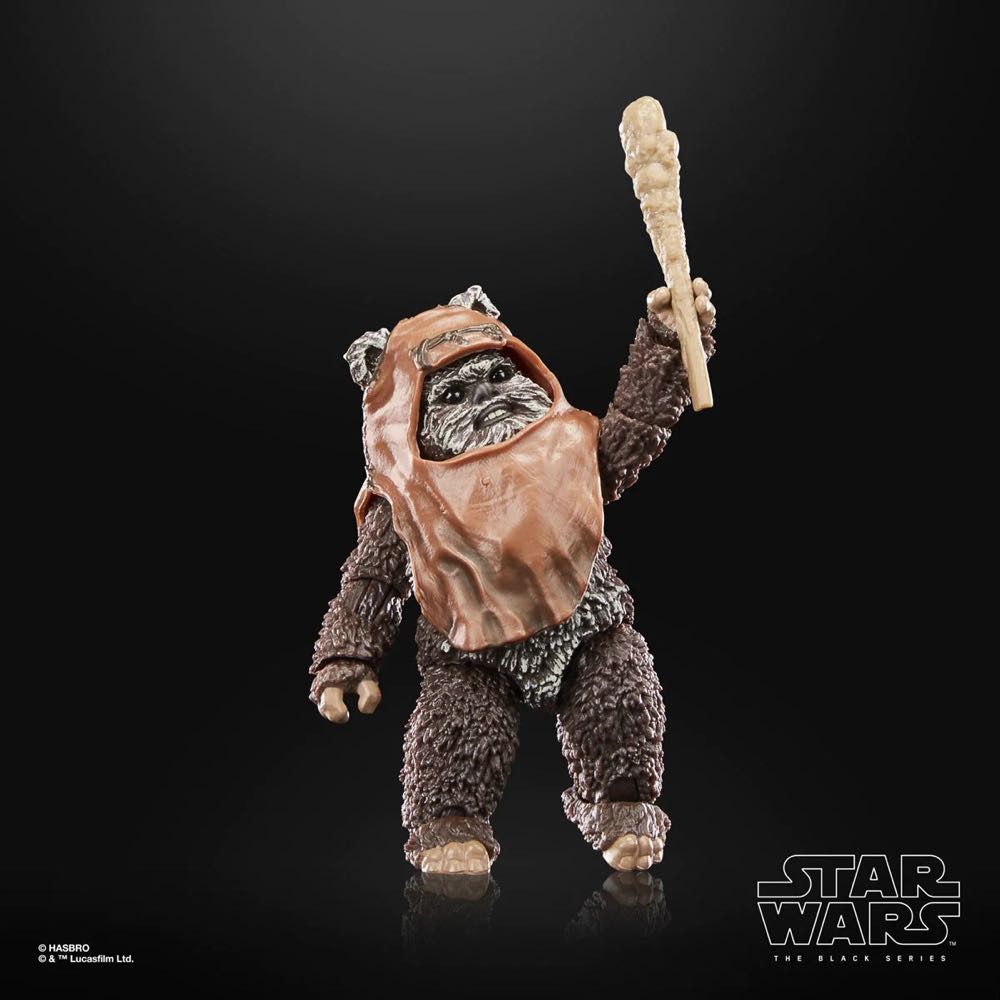 Wicket (Return Of The Jedi) - Hasbro (Star Wars) action figure collectible - Main Image 2