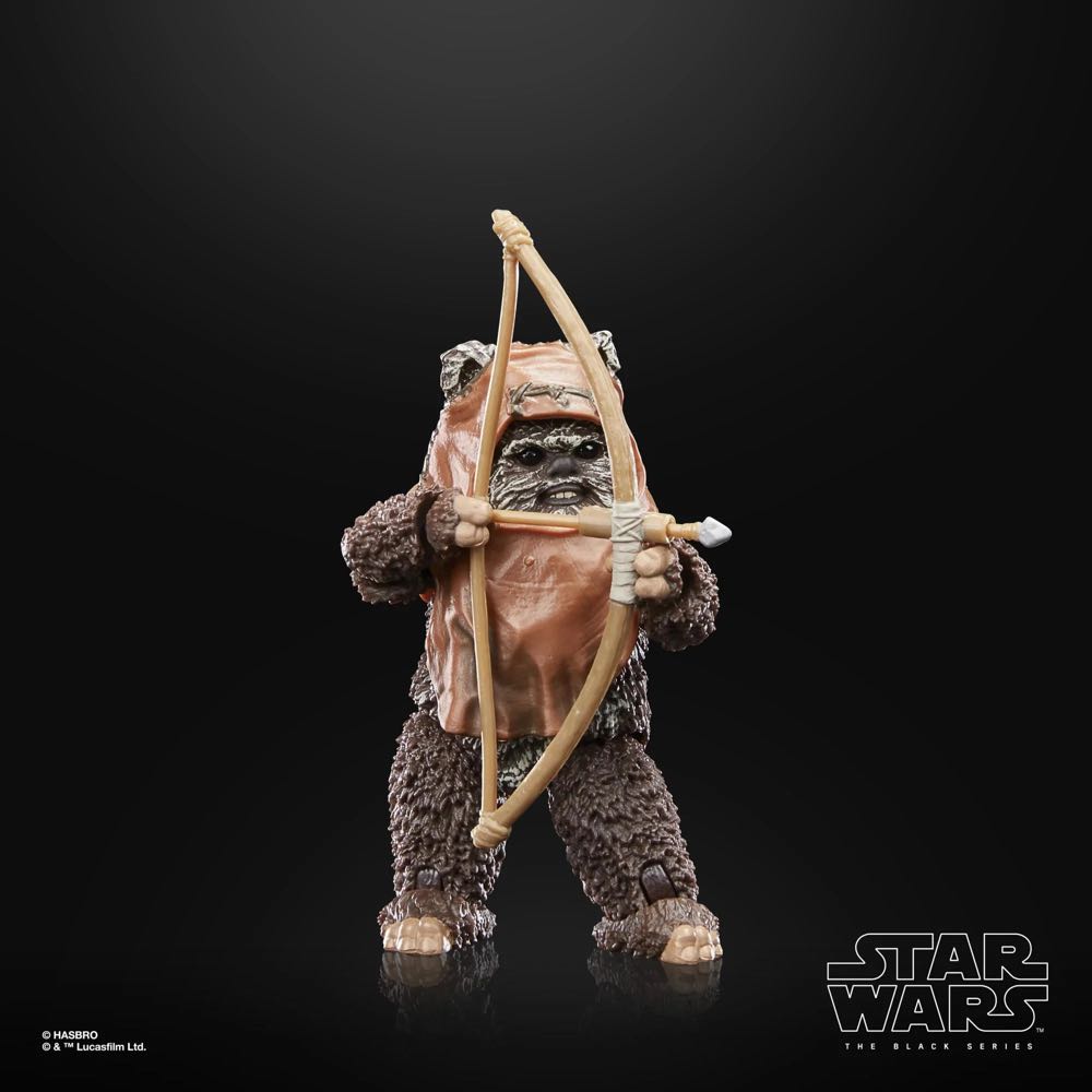 Wicket (Return Of The Jedi) - Hasbro (Star Wars) action figure collectible - Main Image 3