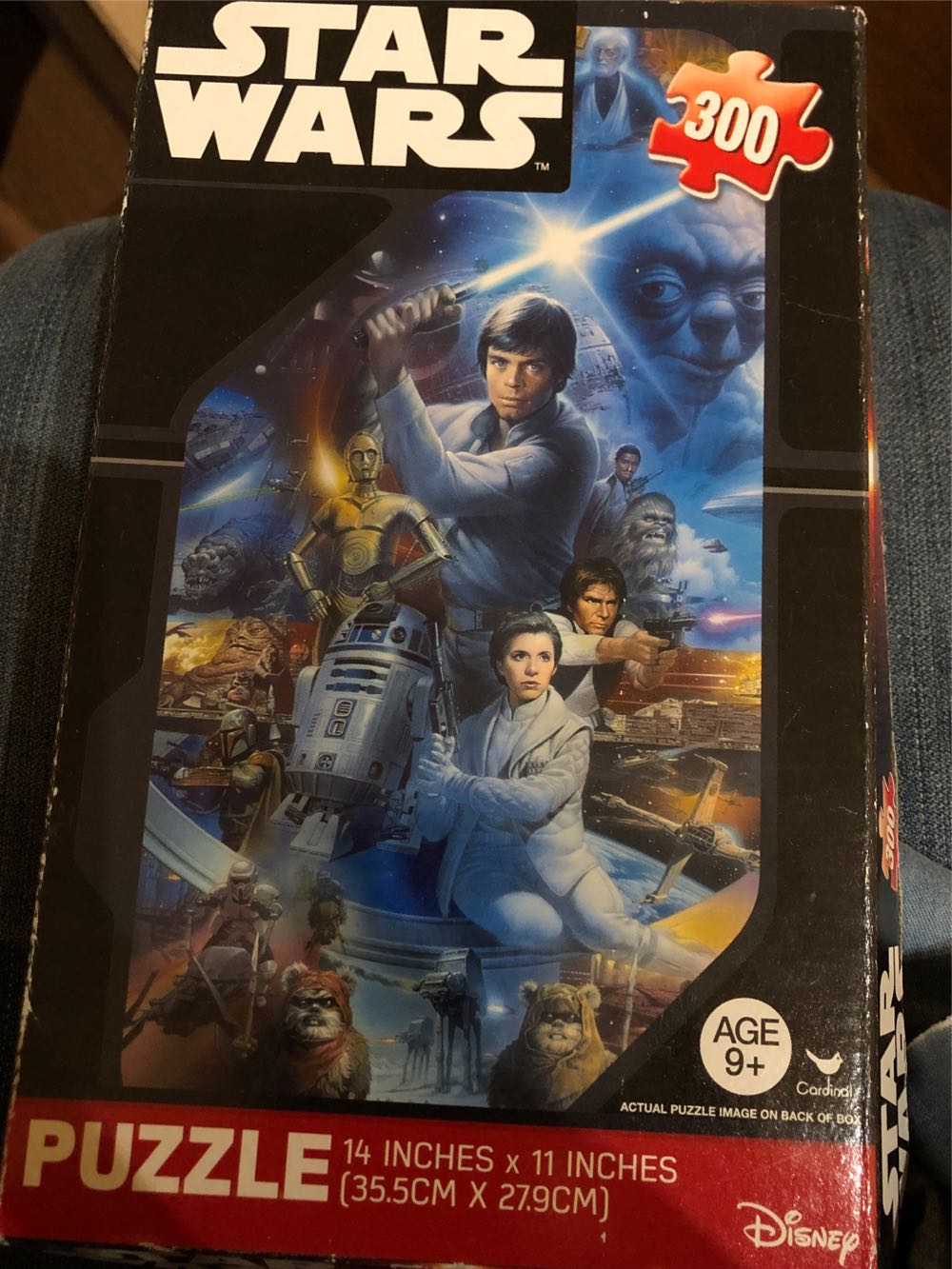 950 Lancer/伊莉莎白・巴托里 Fate/Grand Order