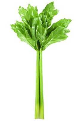 Figures Toy Company Scooby-Doo Frankenstein’s Monster Action Figure