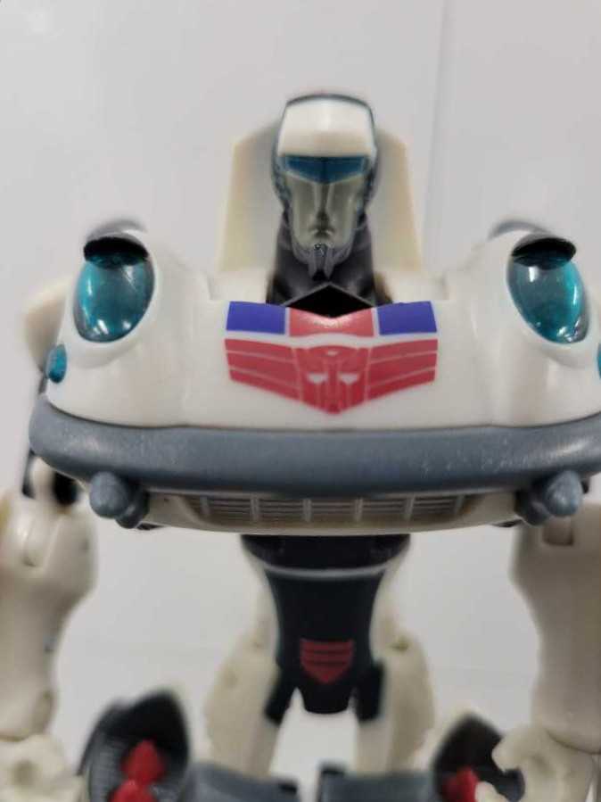 Falconer Hunter Predator