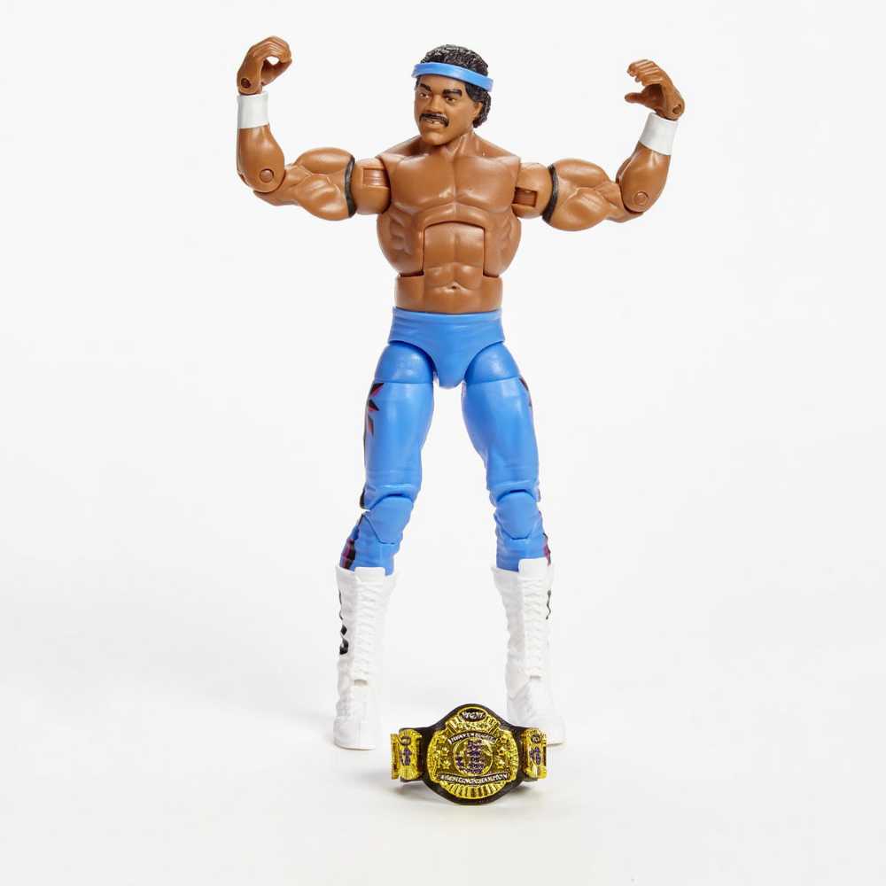 Ron Simmons  - Mattel / WWE (Elite - Hall of Champion Series 2) action figure collectible - Main Image 2
