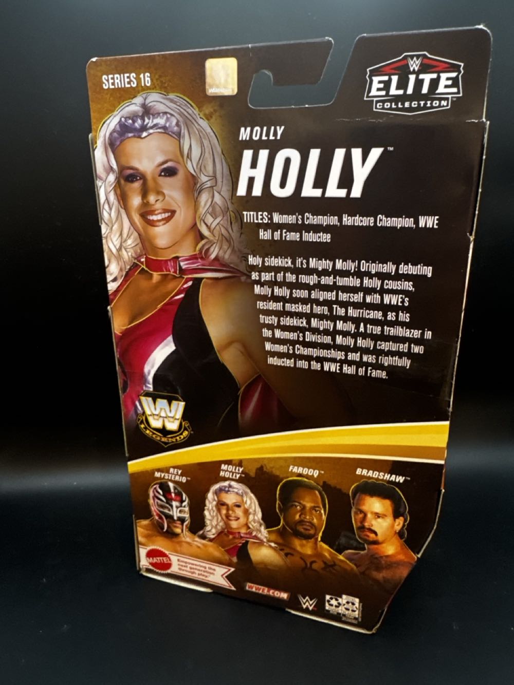 Molly Holly  - Mattel (Mattel Elite Collection Legends) action figure collectible [Barcode 194735027606] - Main Image 2