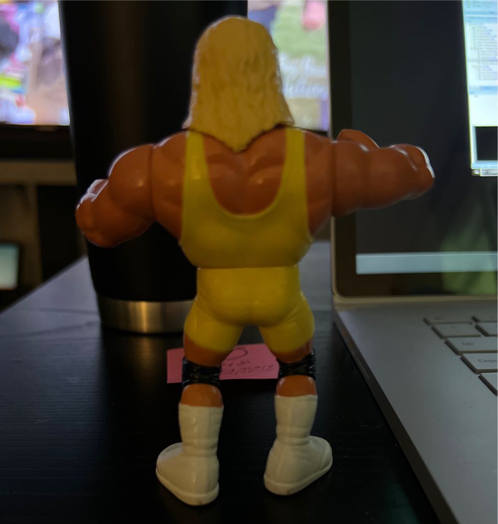 Mr. Perfect - Hasbro (WWF) (WWF Hasbro) action figure collectible - Main Image 2