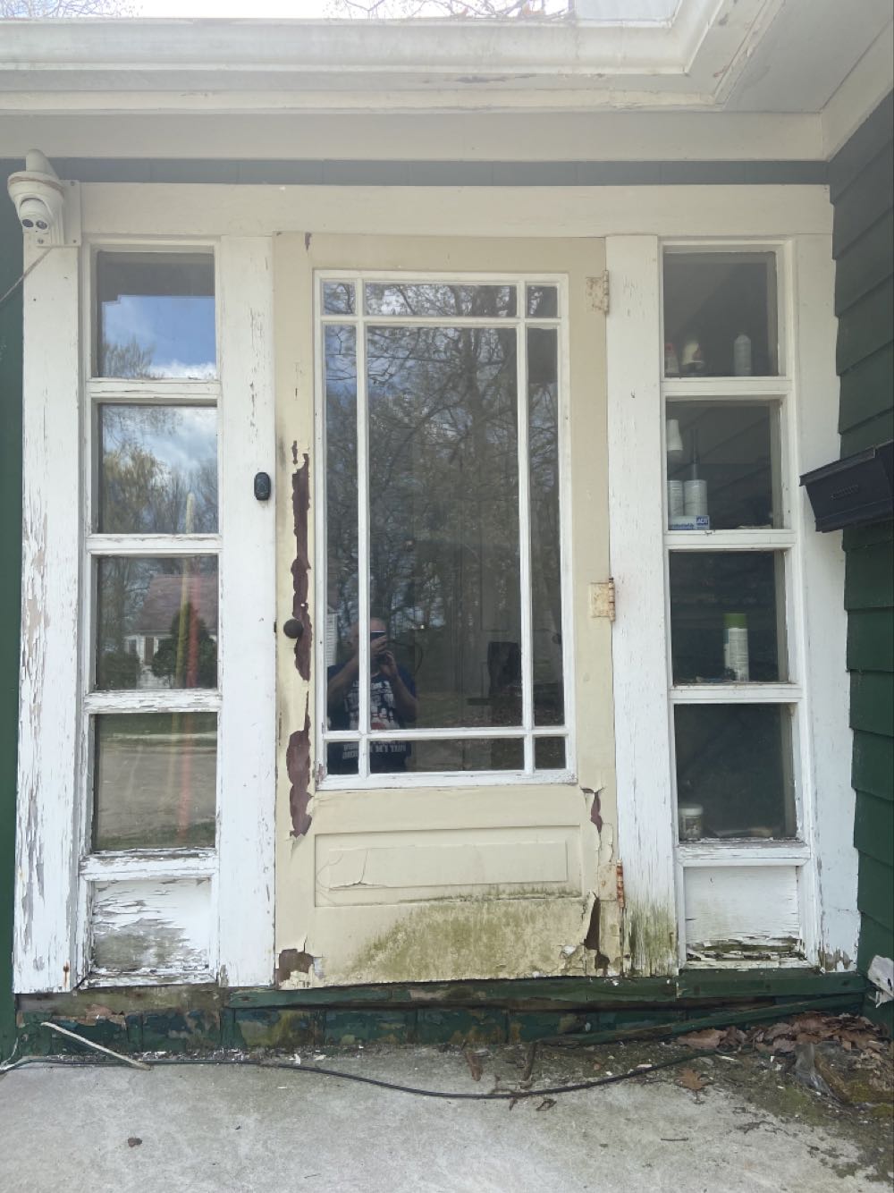 Teenage Mutant Ninja Turtles (2022 Playmates Re-Issue) Splinter 