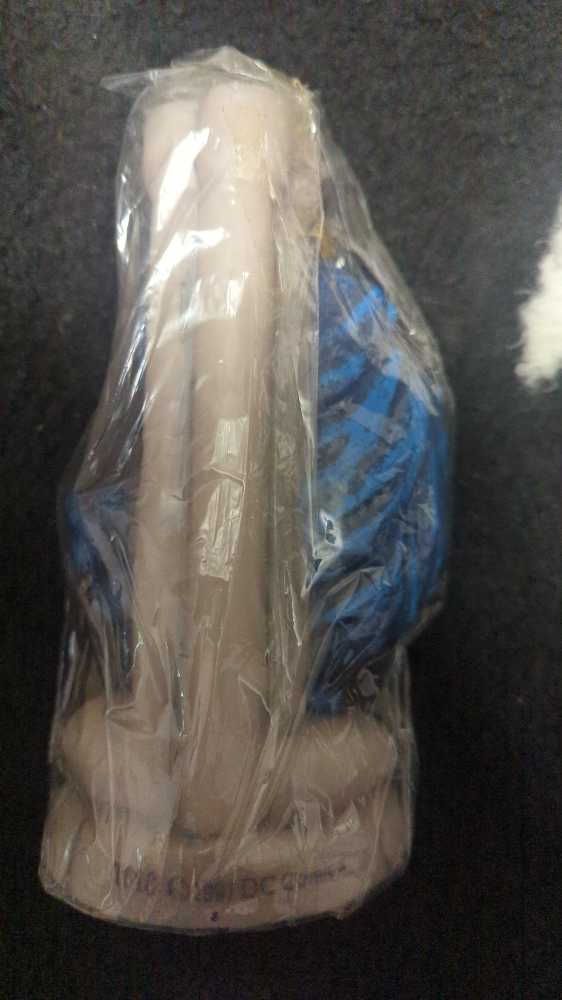 Robin Wax Figure - Batman And Robin Movie  action figure collectible [Barcode 084172230106] - Main Image 2