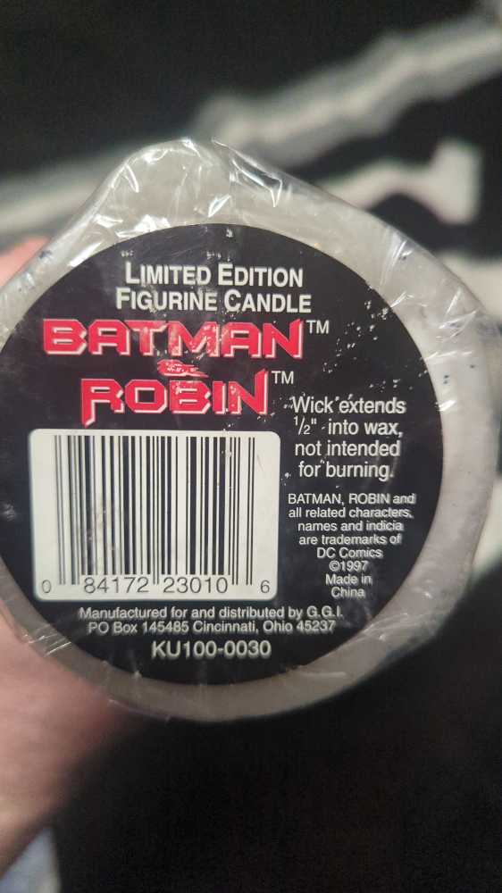 Robin Wax Figure - Batman And Robin Movie  action figure collectible [Barcode 084172230106] - Main Image 3