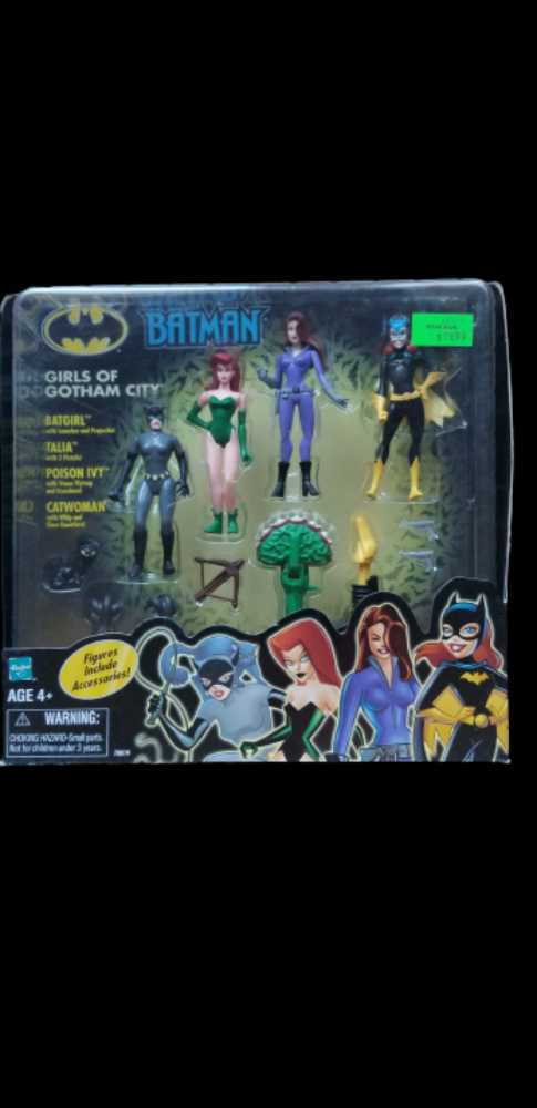 Batman Girls Of Gotham City  action figure collectible [Barcode 076930708194] - Main Image 3