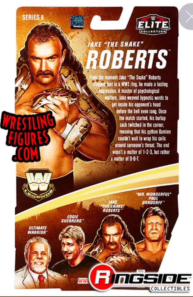 Legends Series #8 (C) - Mattel (Jake The Snake Roberts) action figure collectible - Main Image 2