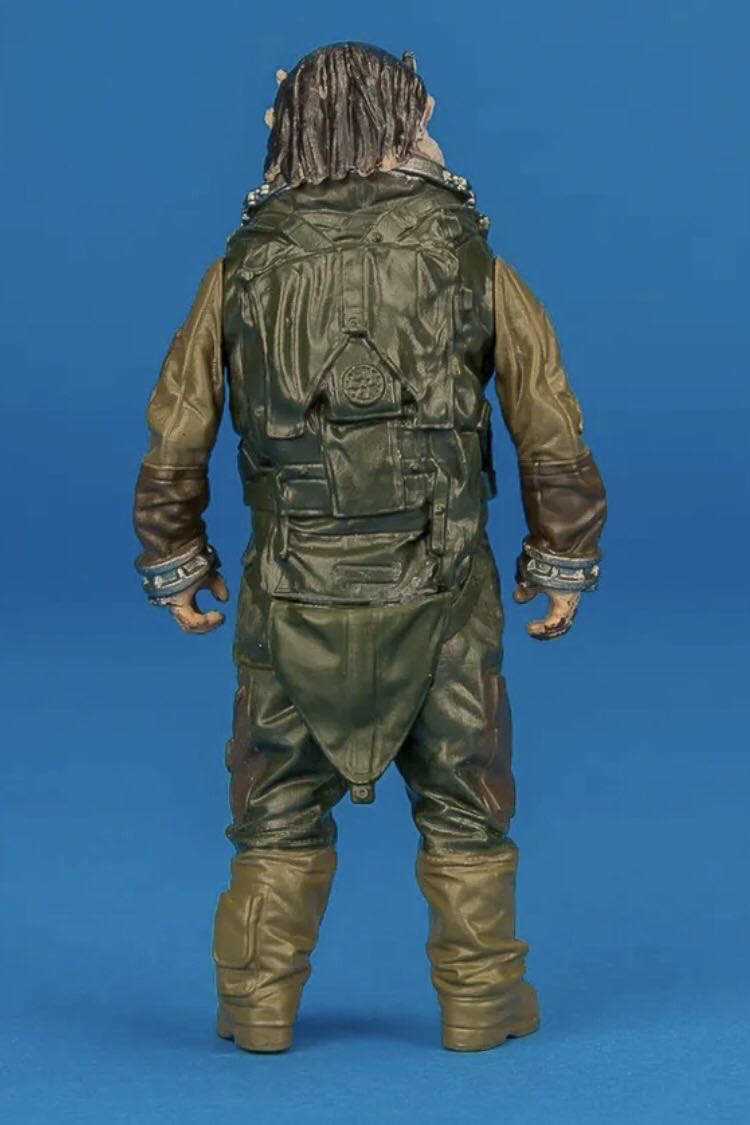 Bistan (From RO Captain/Bistan 2-Pack) - Hasbro (Rogue One: A Star Wars Story) action figure collectible - Main Image 2