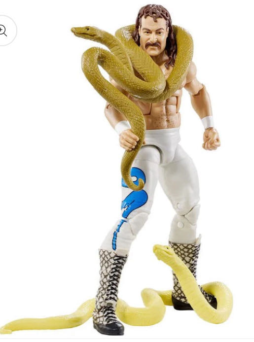 Hall of Fame Series #5 - Mattel (Jake The Snake Roberts) action figure collectible - Main Image 4