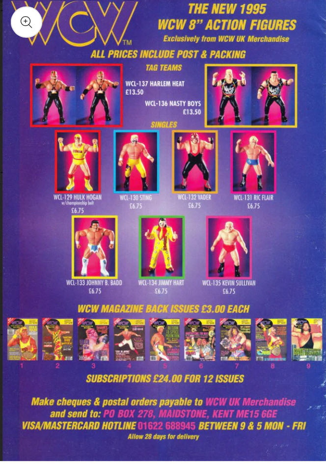 WCW OSFTM - OSFTM (The Nasty Boys Brian knobs & Jerry Saggs) action figure collectible - Main Image 2