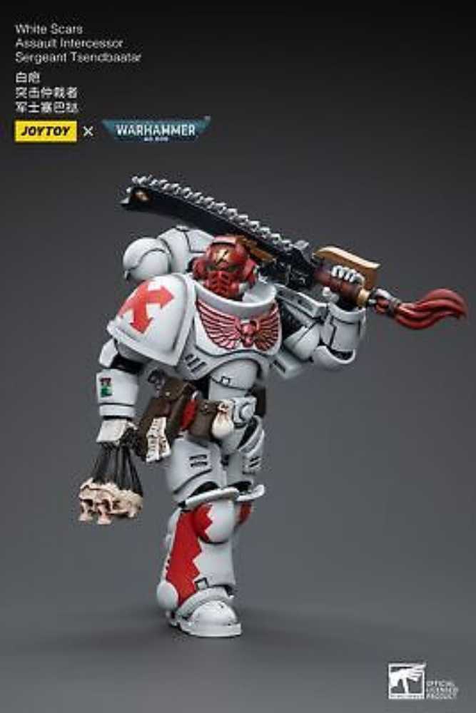 Joy Toy Warhammer 40k White Scars Assault Intercessor Tsendbaatar - Joy Toy (Warhammer 40,000) action figure collectible [Barcode 6973130373815] - Main Image 2