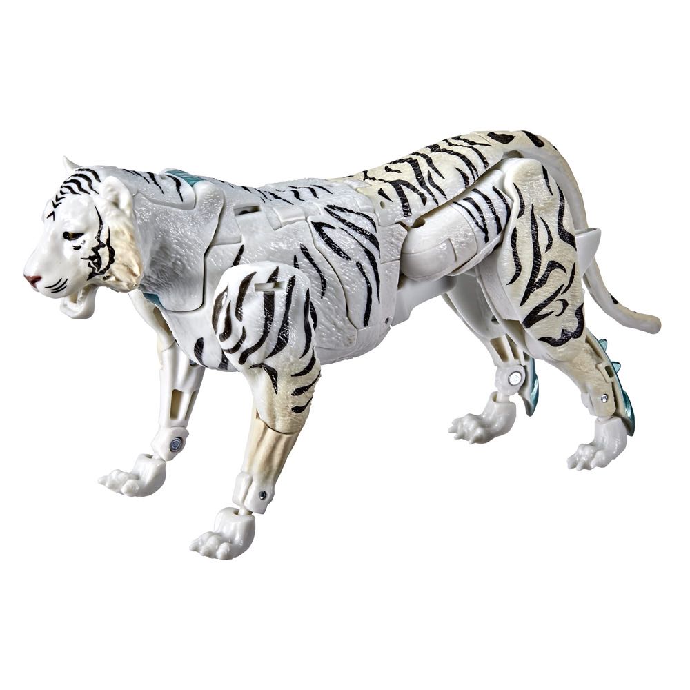Image 234519