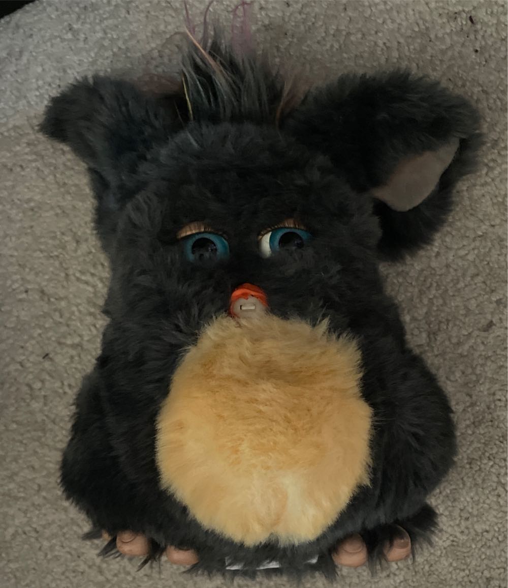 Image 235981