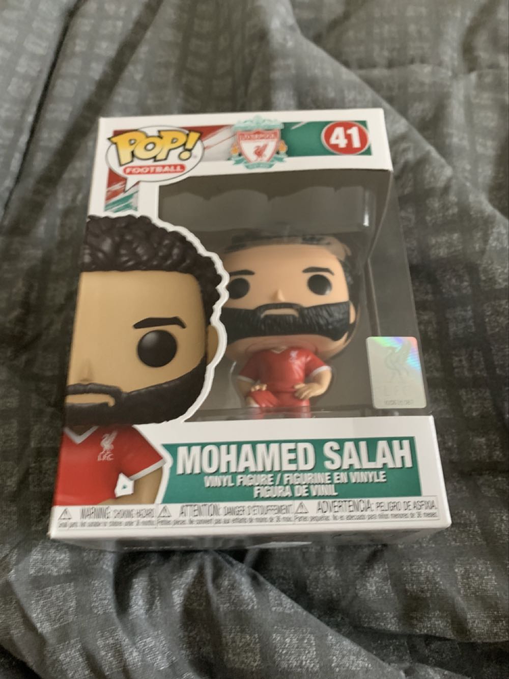 MOTU Netflix - He-Man (Large)