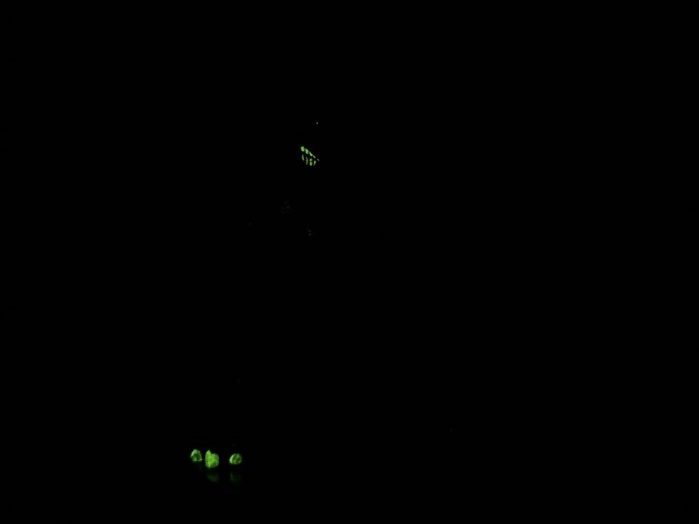 King Rat - Yuno Dyva (Teenage Mutant Ninja Turtles) action figure collectible - Main Image 4