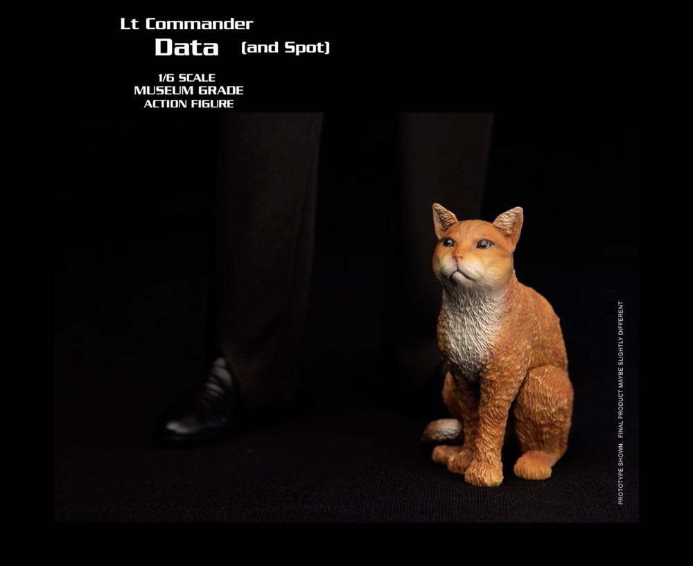 EXO-6 Star Trek The Next Generation Lieutenant Commander Data - EXO-6 (Data) action figure collectible - Main Image 4