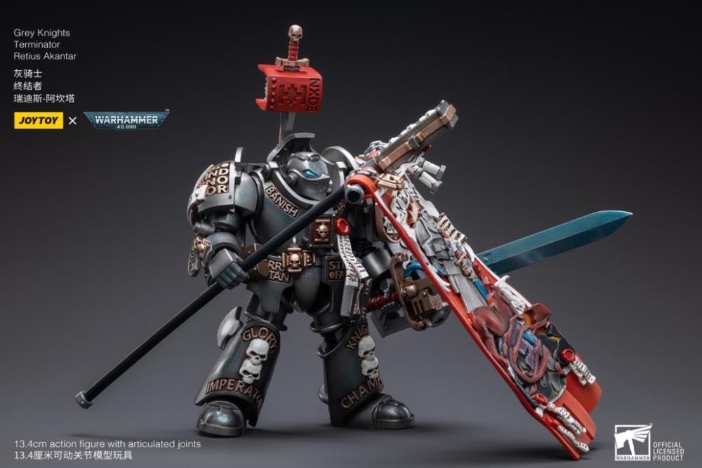 Grey Knights - Terminator Retius Akantar - Joy Toy (Warhammer 40K) action figure collectible - Main Image 3